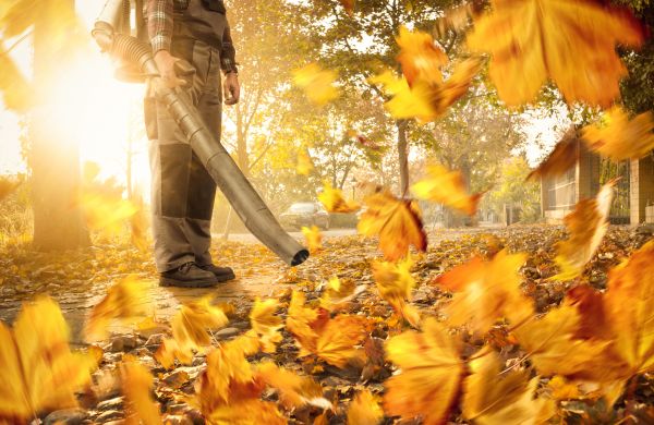 Cost of Leaf Blowing Service in San Marcos