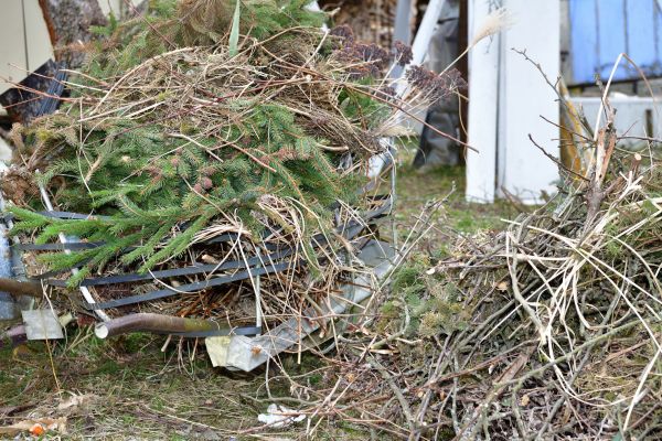Cost of Yard Debris Removal in San Marcos