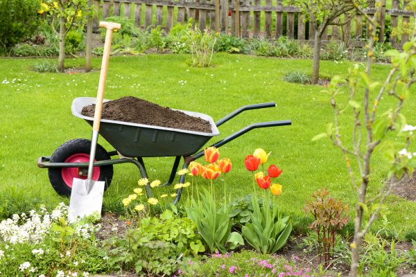Cost of Spring Yard Cleanup in San Marcos