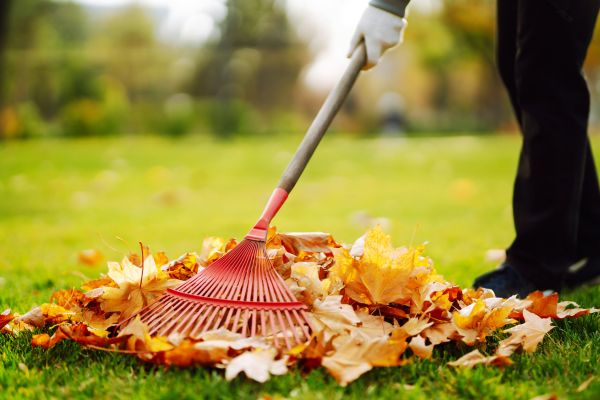 Cost of Ditch Leaf Removal in San Marcos