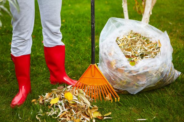 Cost of Leaf Disposal Service in San Marcos