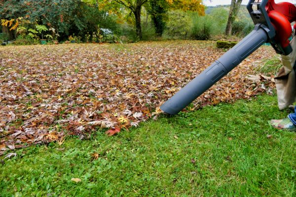 Cost of Leaves Vacuuming in San Marcos