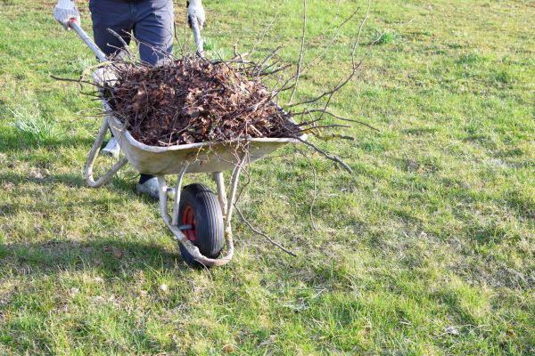 Cost of Yard Brush Removal in San Marcos