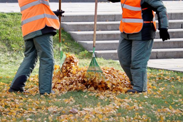 Cost of Leaf Hauling Service in San Marcos