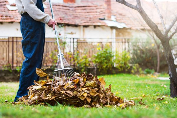 Cost of Spring Lawn Cleanup in San Marcos