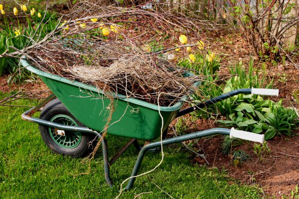 Cost of Lawn Waste Removal in San Marcos