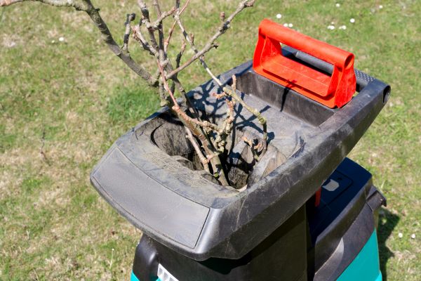 Cost of Brush Cleanup Service in San Marcos