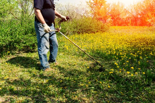 Cost of Yard Clearing Service in San Marcos