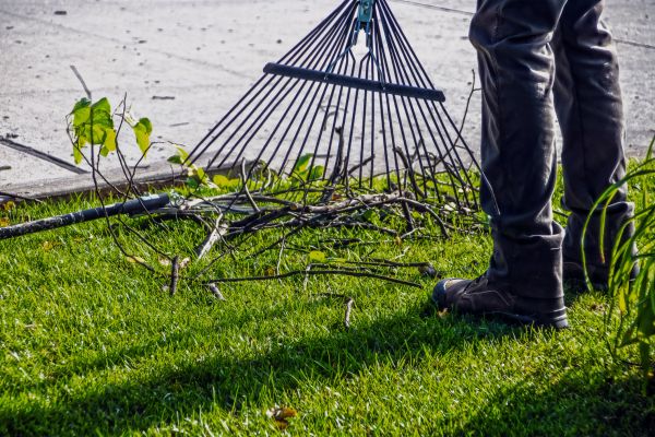 Cost of Yard Debris Cleanup in San Marcos