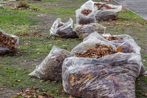 Cost of Leaf Pile Disposal in San Marcos