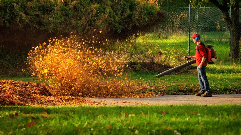 Leaf Blower in Use