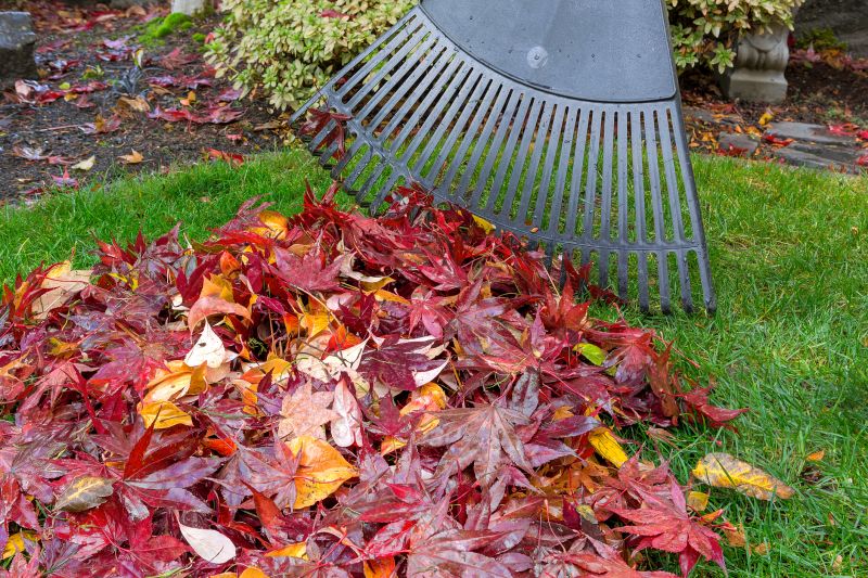 Fall Yard Care Tools
