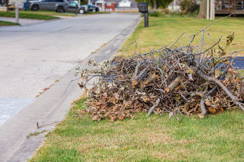 Lawn Debris Collection